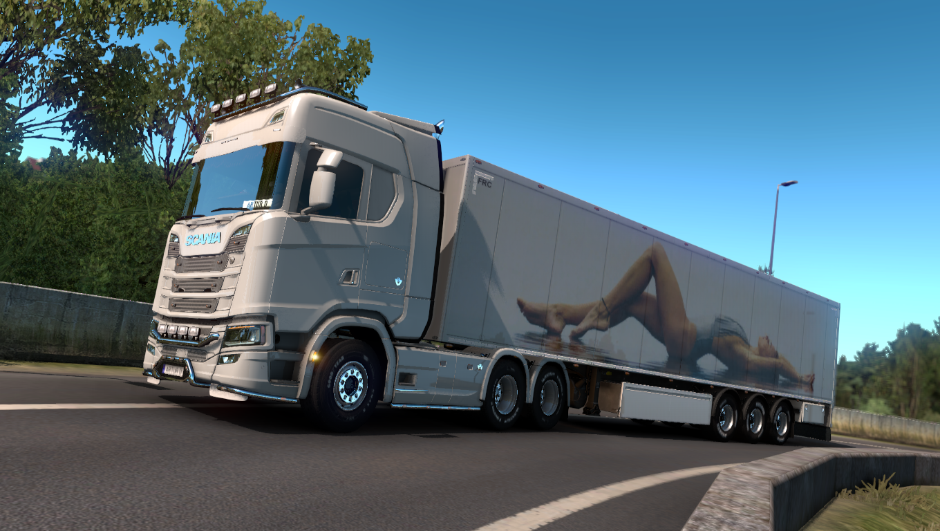 Woman Skin For Owned Trailers Ets Mods Euro Truck Simulator Mods Hot