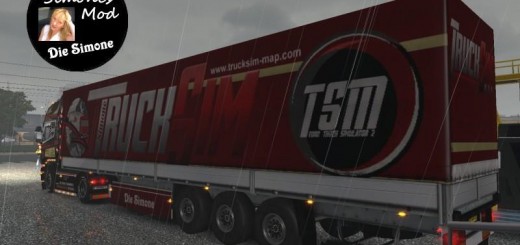 tsm-standart-trailer-skin-v1-0_1