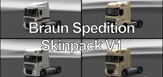 daf-xf-skinpack-braun-spedition-v1-0_1