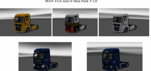 man-tgx-euro-6-truck-skin-pack-v-1-0_1
