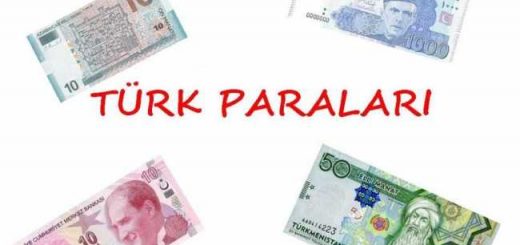 turks-money-currency-v1-0_1