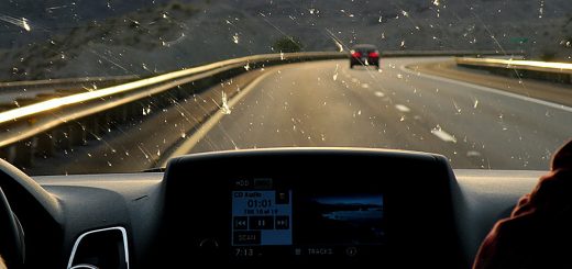 Insects-on-windshield-2_EDE1.jpg