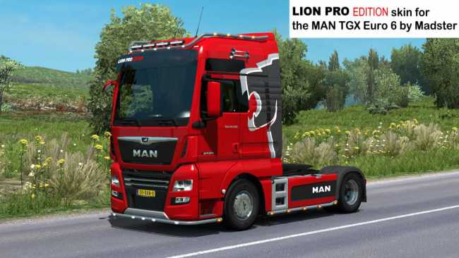 man-lion-pro-edition-skin-for-madster-1-0_1