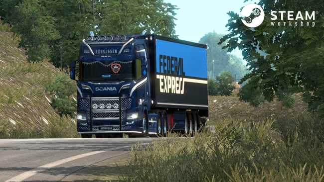 scania-s-rgsegger-skin-1-0_2