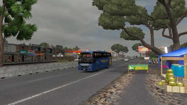 ndesovania-map-save-game-profile-for-euro-truck-simulator-2_3