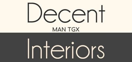 cover_man-tgx-euro6-decent-inter
