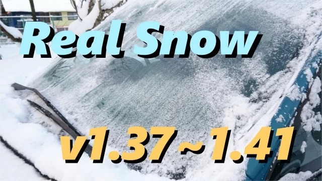 cover_real-snow-22_ePFzPmNviPHnf