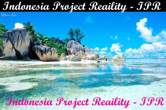 cover_indonesia-project-reaility