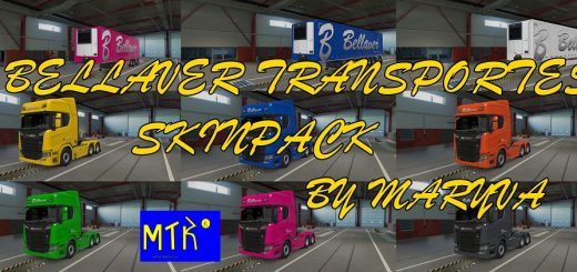 Bellaver-Transportes-Skinpack-2_1D357.jpg