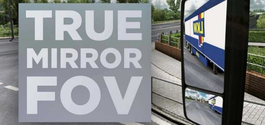 True-Mirror-FOV-v1_2Z199.jpg