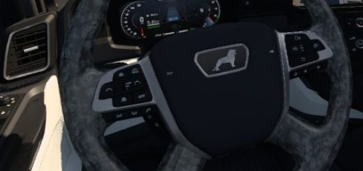 MAN-2020-Grey-Steering-Wheel_ZS1VX.jpg