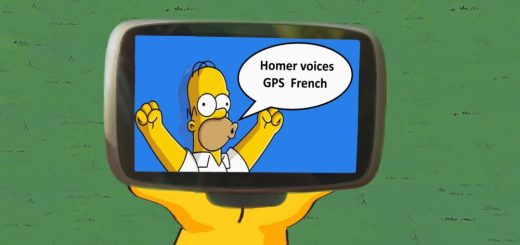 Homer-GPS-French_6CQW4.jpg