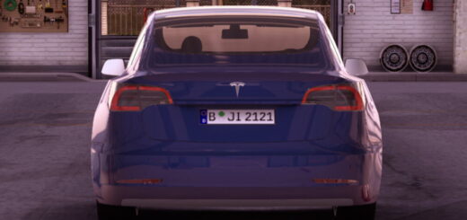 2021-Tesla-Model-3-Performance-2_SXCE5.jpg