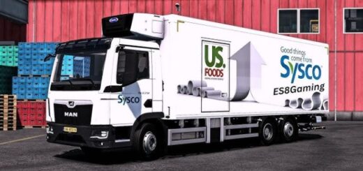 Man TGL 6×2. ETS2
