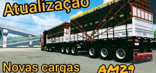 Bitrem e Rodotrem Curto_AM29