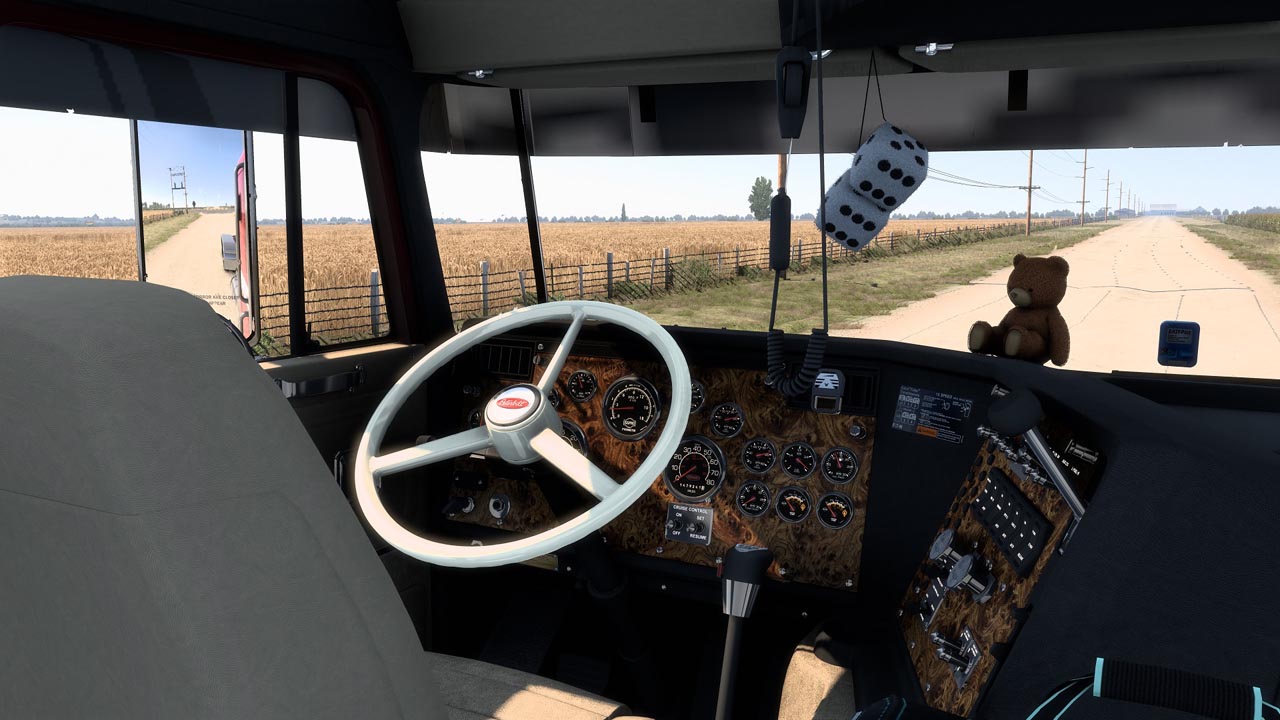 Pete-362-Cabover-3_X3819
