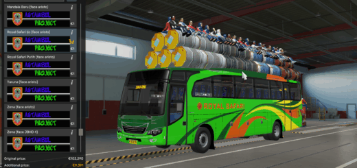 ets2_20250819_224929_00_Q0DD7