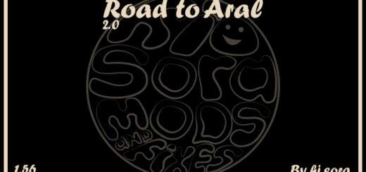 Road-to-Aral_VRV9V