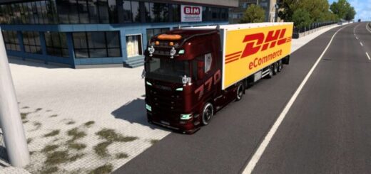 Dhl E commerce Skin