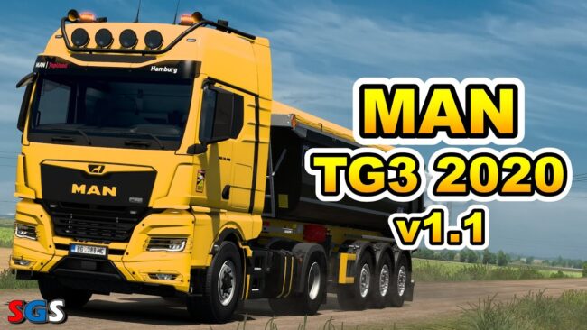 MAN TG3 2020
