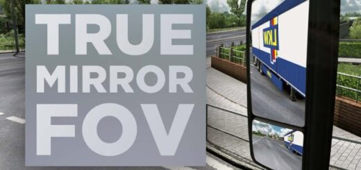 True Mirror FOV for ETS2 1.58