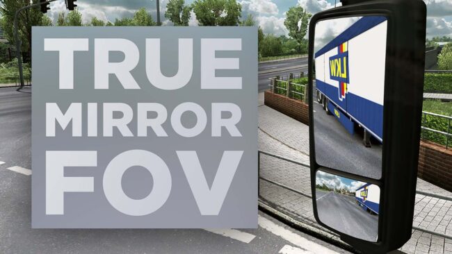 True Mirror FOV for ETS2 1.58