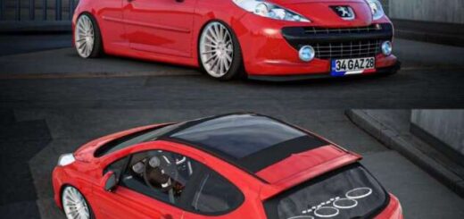 Peugeot 207 RC v2.5 (1.58)