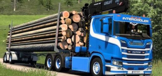 SCANIA NG LOG LIFTER + TRAILER AND MUCH MORE