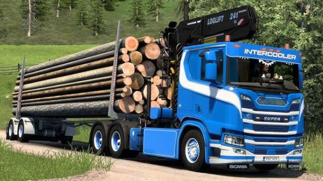 SCANIA NG LOG LIFTER + TRAILER AND MUCH MORE