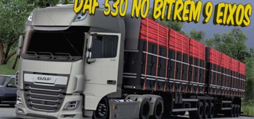 9 eixo momberger
