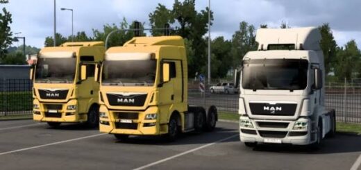 MAN TGS EURO 5