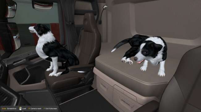 Dog with Animation v1.58